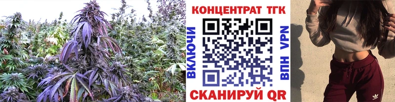 ТГК THC oil  Купить где  Заозёрск 